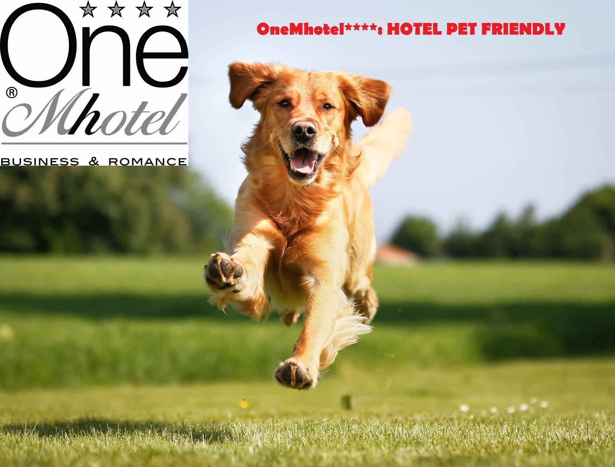 Onemhotel San Paolo  Eksteriør billede